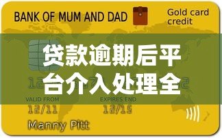 贷款逾期后平台介入处理全流程及应对指南 贷款逾期后平台介入处理全流程及应对指南