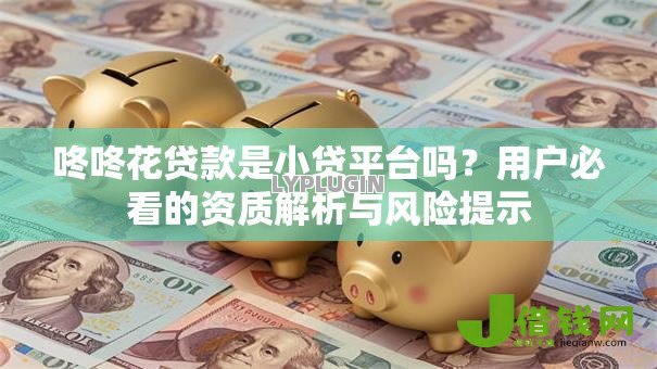 咚咚花贷款是小贷平台吗？用户必看的资质解析与风险提示