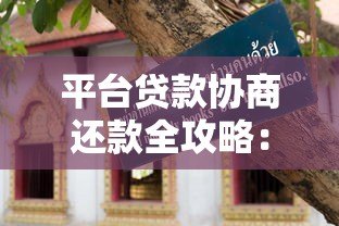 平台贷款协商还款全攻略:实用技巧与避坑指南 平台贷款协商还款全攻略:实用技巧与避坑指南
