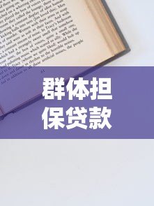群体担保贷款平台申请条件及风险分析