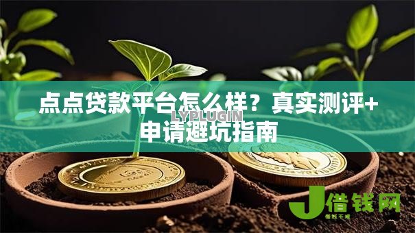 点点贷款平台怎么样？真实测评+申请避坑指南