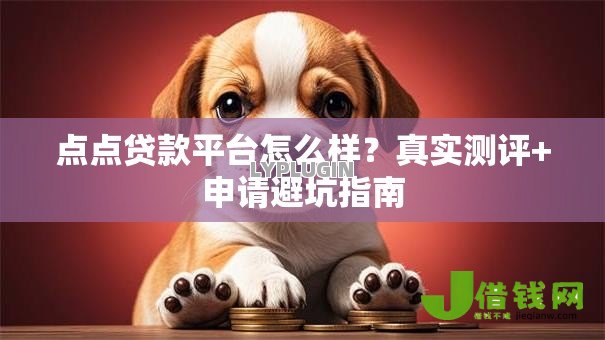 点点贷款平台怎么样？真实测评+申请避坑指南