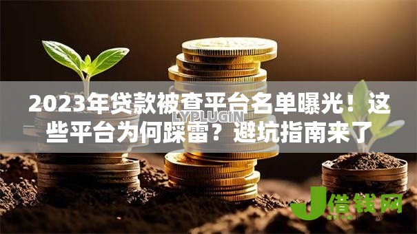 2023年贷款被查平台名单曝光！这些平台为何踩雷？避坑指南来了