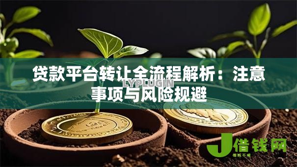 贷款平台转让全流程解析:注意事项与风险规避 贷款平台转让全流程解析:注意事项与风险规避