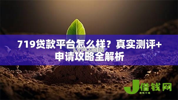 719贷款平台怎么样?真实测评+申请攻略全解析 719贷款平台怎么样?真实测评+申请攻略全解析