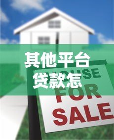 其他平台贷款怎么选?十大常见问题深度解析 其他平台贷款怎么选?十大常见问题深度解析