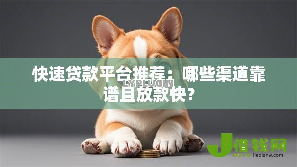 快速贷款平台推荐：哪些渠道靠谱且放款快？