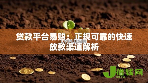 贷款平台易购:正规可靠的快速放款渠道解析 贷款平台易购:正规可靠的快速放款渠道解析