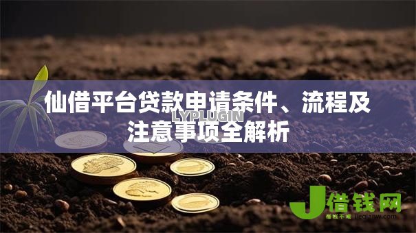 仙借平台贷款申请条件、流程及注意事项全解析 仙借平台贷款申请条件、流程及注意事项全解析