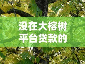 没在大榕树平台贷款的真实原因与避坑指南 没在大榕树平台贷款的真实原因与避坑指南
