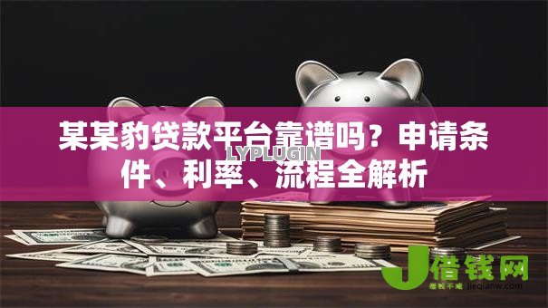某某豹贷款平台靠谱吗？申请条件、利率、流程全解析