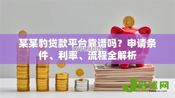 某某豹贷款平台靠谱吗？申请条件、利率、流程全解析