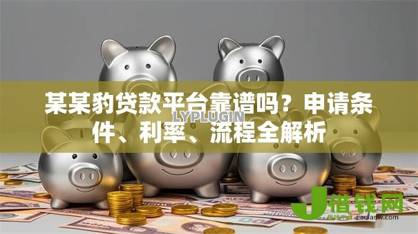 某某豹贷款平台靠谱吗？申请条件、利率、流程全解析