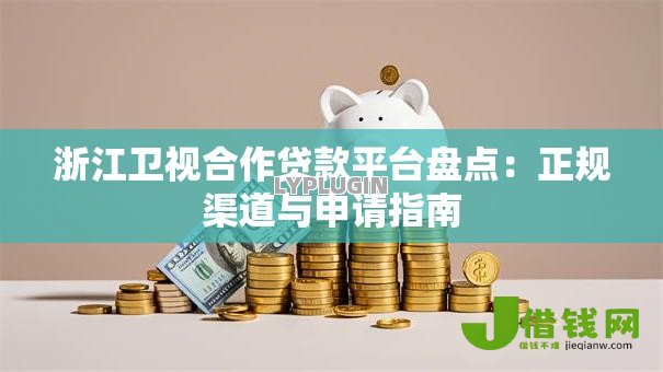 浙江卫视合作贷款平台盘点：正规渠道与申请指南