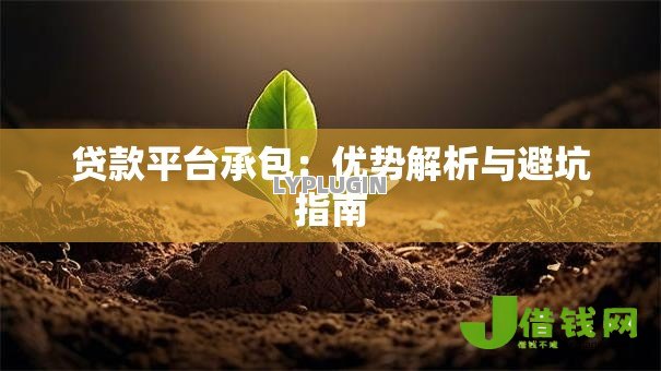 贷款平台承包:优势解析与避坑指南 贷款平台承包:优势解析与避坑指南