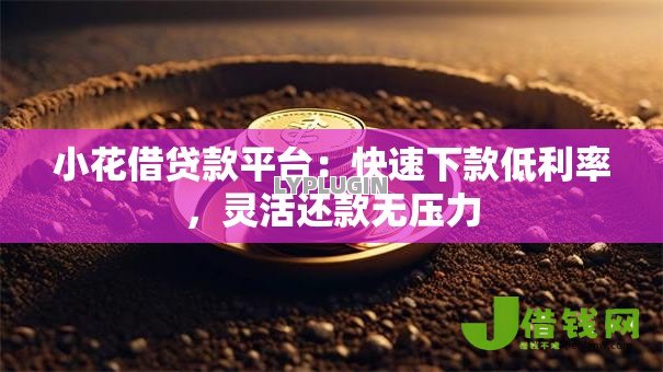 小花借贷款平台：快速下款低利率，灵活还款无压力