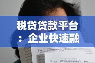 税贷贷款平台:企业快速融资的合规选择指南 税贷贷款平台:企业快速融资的合规选择指南