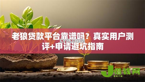 老狼贷款平台靠谱吗？真实用户测评+申请避坑指南