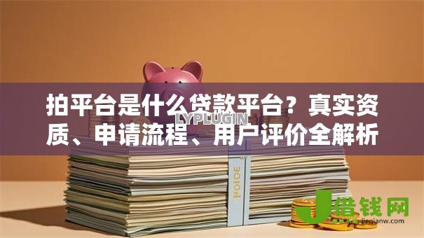 拍平台是什么贷款平台?真实资质、申请流程、用户评价全解析 拍平台是什么贷款平台?真实资质、申请流程、用户评价全解析