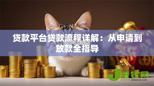贷款平台贷款流程详解:从申请到放款全指导 贷款平台贷款流程详解:从申请到放款全指导
