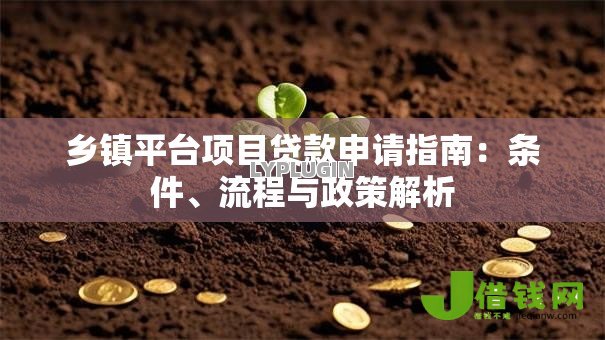 乡镇平台项目贷款申请指南:条件、流程与政策解析 乡镇平台项目贷款申请指南:条件、流程与政策解析