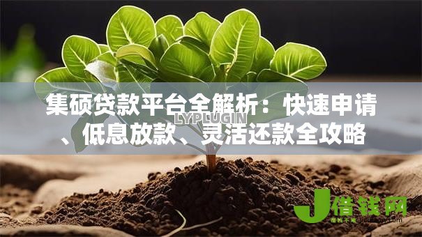 集硕贷款平台全解析：快速申请、低息放款、灵活还款全攻略