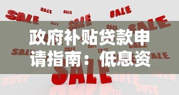 政府补贴贷款申请指南：低息资金轻松获取攻略