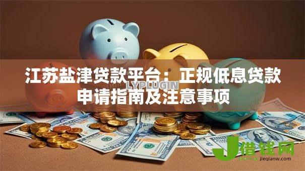 江苏盐津贷款平台:正规低息贷款申请指南及注意事项 江苏盐津贷款平台:正规低息贷款申请指南及注意事项