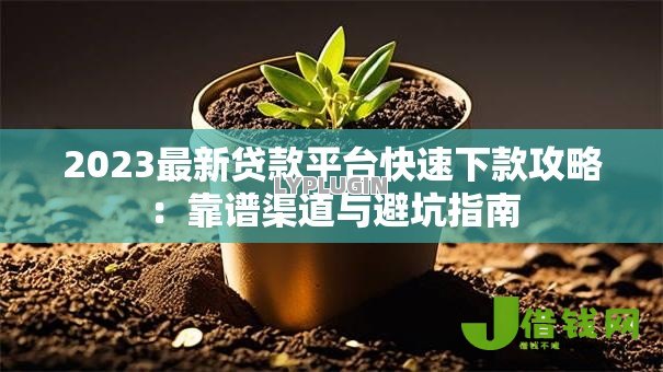 2023最新贷款平台快速下款攻略：靠谱渠道与避坑指南
