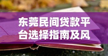 东莞民间贷款平台选择指南及风险防范技巧 东莞民间贷款平台选择指南及风险防范技巧
