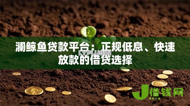 澜鲸鱼贷款平台：正规低息、快速放款的借贷选择