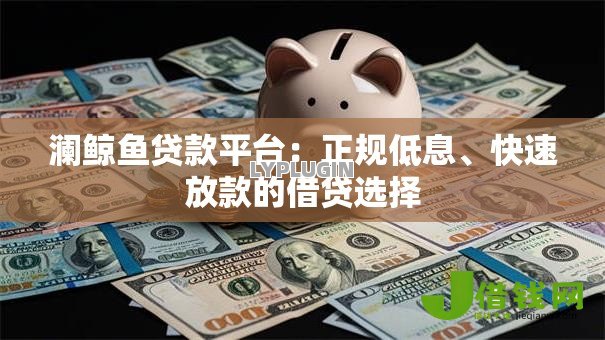 澜鲸鱼贷款平台：正规低息、快速放款的借贷选择