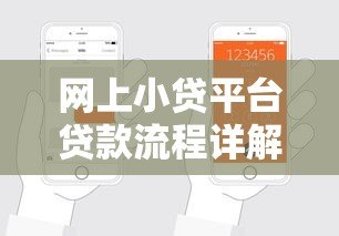网上小贷平台贷款流程详解：从申请到放款全步骤指南