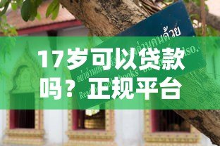 17岁可以贷款吗？正规平台推荐与避坑指南