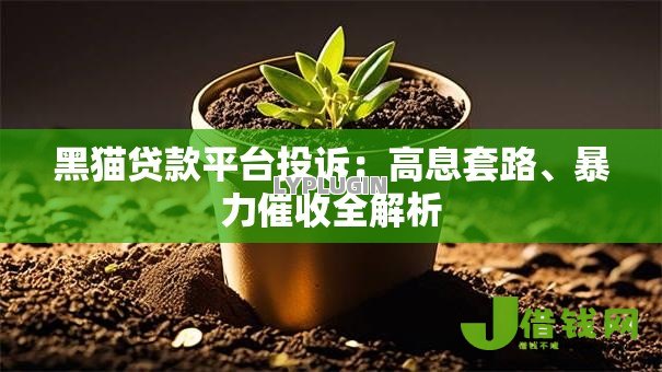 黑猫贷款平台投诉:高息套路、暴力催收全解析 黑猫贷款平台投诉:高息套路、暴力催收全解析