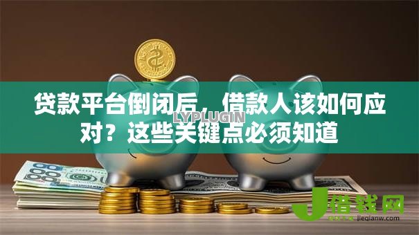 贷款平台倒闭后，借款人该如何应对？这些关键点必须知道