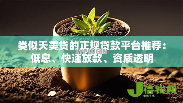 类似天美贷的正规贷款平台推荐:低息、快速放款、资质透明 类似天美贷的正规贷款平台推荐:低息、快速放款、资质透明