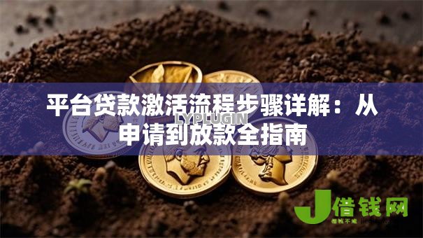 平台贷款激活流程步骤详解：从申请到放款全指南