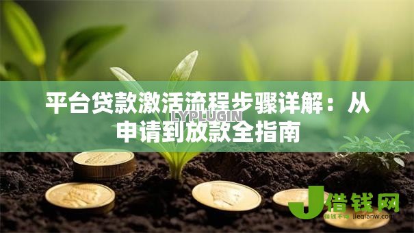 平台贷款激活流程步骤详解：从申请到放款全指南