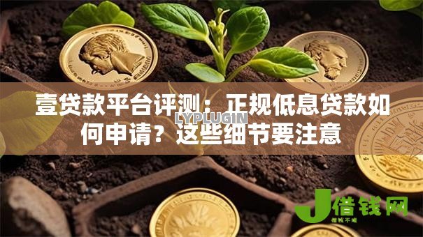 壹贷款平台评测:正规低息贷款如何申请?这些细节要注意 壹贷款平台评测:正规低息贷款如何申请?这些细节要注意