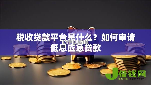 税收贷款平台是什么?如何申请低息应急贷款 税收贷款平台是什么?如何申请低息应急贷款