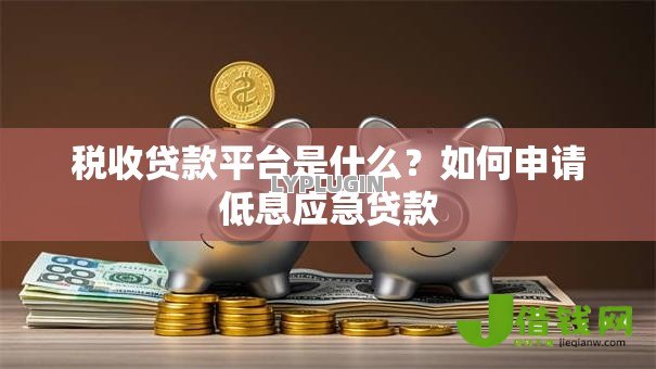 税收贷款平台是什么?如何申请低息应急贷款 税收贷款平台是什么?如何申请低息应急贷款