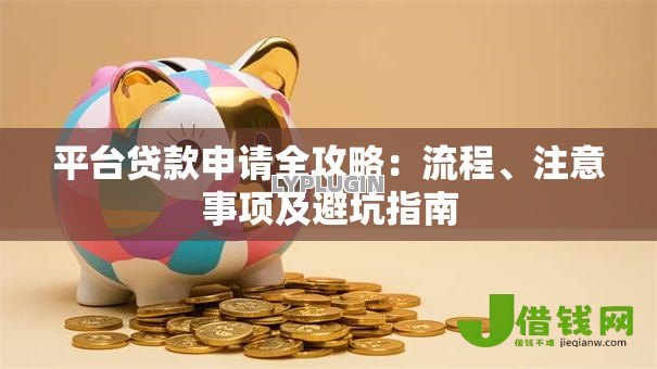 平台贷款申请全攻略：流程、注意事项及避坑指南