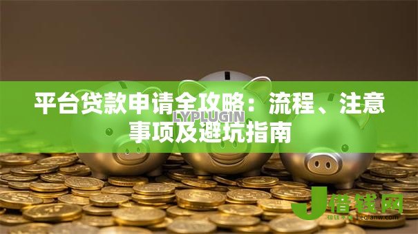 平台贷款申请全攻略：流程、注意事项及避坑指南