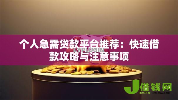个人急需贷款平台推荐：快速借款攻略与注意事项