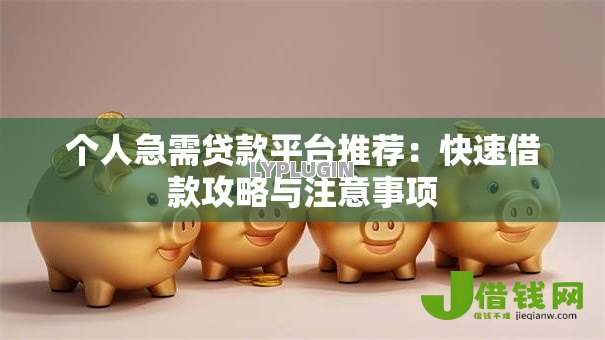 个人急需贷款平台推荐：快速借款攻略与注意事项