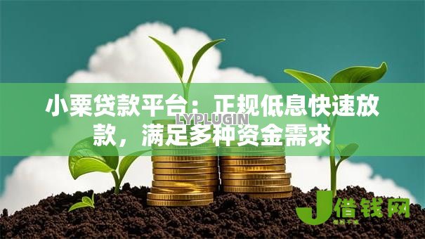 小粟贷款平台:正规低息快速放款,满足多种资金需求 小粟贷款平台:正规低息快速放款,满足多种资金需求