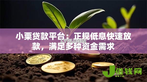 小粟贷款平台:正规低息快速放款,满足多种资金需求 小粟贷款平台:正规低息快速放款,满足多种资金需求