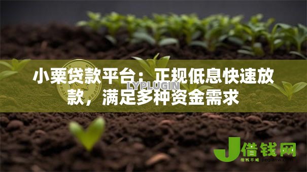 小粟贷款平台:正规低息快速放款,满足多种资金需求 小粟贷款平台:正规低息快速放款,满足多种资金需求