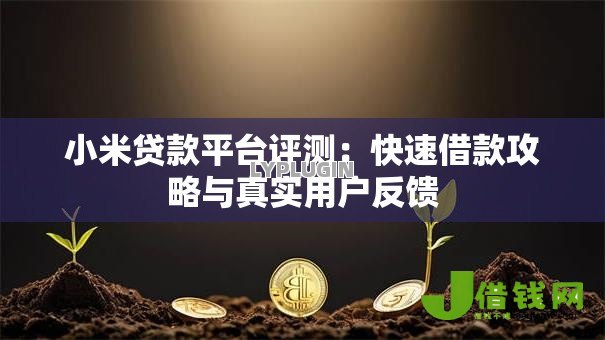 小米贷款平台评测:快速借款攻略与真实用户反馈 小米贷款平台评测:快速借款攻略与真实用户反馈
